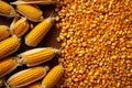 Yellow corn frame with seeds backdrop, providing ample copy space Royalty Free Stock Photo
