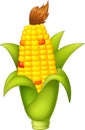 Yellow Corn Fruit Cartoon Vector Illustration Isolated Royalty Free Stock Photo