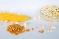 Yellow corn with grain isolated on white background Royalty Free Stock Photo