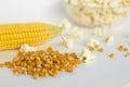 Yellow corn with grain isolated on white background Royalty Free Stock Photo