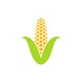 Yellow corn. Icon