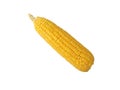 Yellow corn isolated on white background. Royalty Free Stock Photo