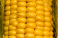Yellow corn kernels in the cob as a background Royalty Free Stock Photo