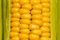 Yellow corn kernels in the cob as a background Royalty Free Stock Photo