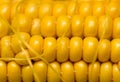 Yellow corn kernels in the cob as a background Royalty Free Stock Photo