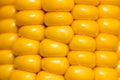 Yellow corn kernels in the cob as a background Royalty Free Stock Photo