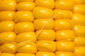 Yellow corn kernels in the cob as a background Royalty Free Stock Photo