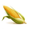 Yellow corn in leaf. Corn as a dish of thanksgiving for the harvest, picture on a white isolated background