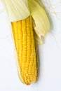 Yellow corn raw isolated on white background Royalty Free Stock Photo