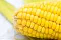 Yellow corn raw isolated on white background Royalty Free Stock Photo