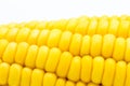 Yellow corn raw isolated on white background Royalty Free Stock Photo