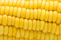Yellow corn raw isolated on white background Royalty Free Stock Photo