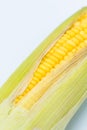 Yellow corn raw isolated on white background Royalty Free Stock Photo