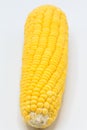 Yellow corn raw isolated on white background Royalty Free Stock Photo