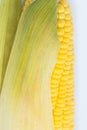 Yellow corn raw isolated on white background Royalty Free Stock Photo