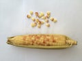 Yellow corn with seeds