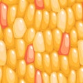 Yellow corn seeds vector seamless pattern. Corn grain closeup seamless texture. Cartoon style corn texture