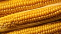 yellow corn texture