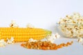 Yellow corn with grain isolated on white background Royalty Free Stock Photo