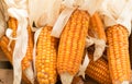 Corns in a basket. Royalty Free Stock Photo