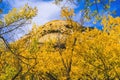 Yellow Cottonwood Trees White Rock Mountain Canyonlands Needles Utah Royalty Free Stock Photo