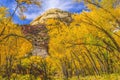 Yellow Cottonwood Trees White Rock Mountain Canyonlands Needles Utah Royalty Free Stock Photo