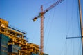 Yellow Crane in the city centre