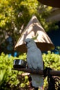 Yellow-crested cockatoo Cacatua sulphurea Royalty Free Stock Photo