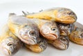 Yellow croaker Royalty Free Stock Photo