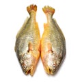 Yellow Croaker Fish Royalty Free Stock Photo