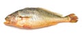 Yellow Croaker Fish isolated