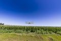 Yellow Crop Duster Royalty Free Stock Photo