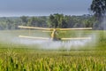 Yellow Crop Duster Spraying Pestisides On Crops Royalty Free Stock Photo