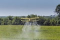 Yellow Crop Duster Spraying Pestisides On Crops Royalty Free Stock Photo