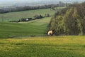 Yellow Crop Sprayer in the Kent Downs