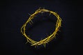 Yellow Crown Of Thorns On A Black Background, Top View Royalty Free Stock Photo