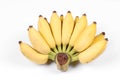 Yellow cultivated banana, Ripe cultivated banana. Royalty Free Stock Photo