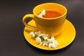 Yellow cup of herbal acacia tea, front view Royalty Free Stock Photo