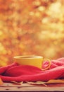 Cup of hot tea or coffee on nature background. Concept autumn mood. Royalty Free Stock Photo