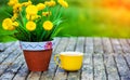 A yellow cup of tasty coffee, on rustic wooden table background. Spring time
