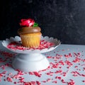 Yellow cupcake with chocolate frosting and red rose made of frosting sitting on top of a white platter on a bed of pink and red Royalty Free Stock Photo