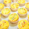 Yellow Cupcakes I