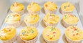 Yellow Cupcakes II