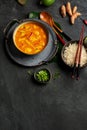 Yellow curry with chicken in bowl on dark background Royalty Free Stock Photo