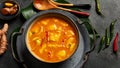 Yellow curry with chicken in bowl on dark background Royalty Free Stock Photo