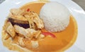 Yellow Curry Chicken and Eggplant with Rice Royalty Free Stock Photo