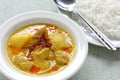 Yellow curry , thai food Royalty Free Stock Photo