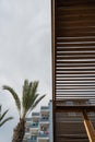 Yellow Curved Balconies by Palm Trees on Curacao