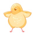 Yellow cute cheeper raised wings. Royalty Free Stock Photo
