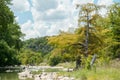 The yellow cypress tree on the river bank in the beginning of autumn with people in the river. Pedernales Falls National state par